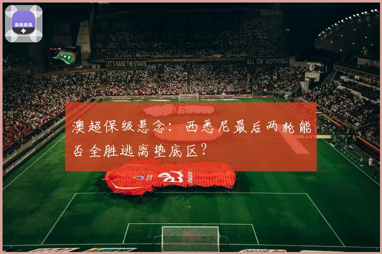 澳超保级悬念：西悉尼最后两轮能否全胜逃离垫底区？